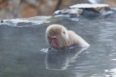 Similar image 11852792