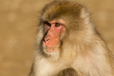 Similar image 11852794