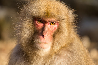 Similar image 11852813