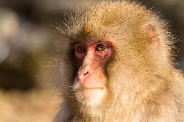 Similar image 11852853