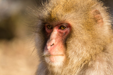 Similar image 11852854