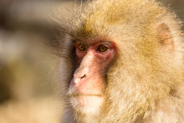 Similar image 11852872