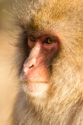 Similar image 11852874