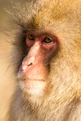 Similar image 11852894