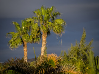 Similar image 11843385