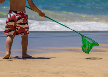 Similar image 11843402