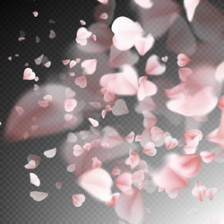 Similar image 11850683