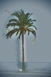 Similar image 11841157