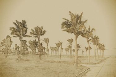 Similar image 11841175