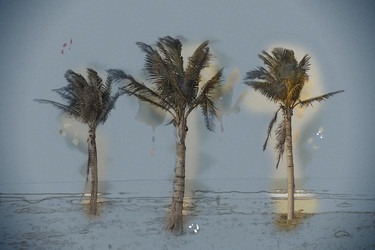 Similar image 11841189