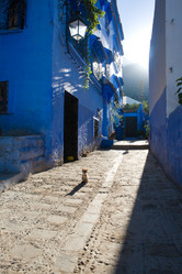 Similar image 11865813