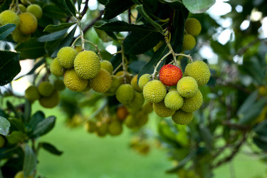 Similar image 11865823