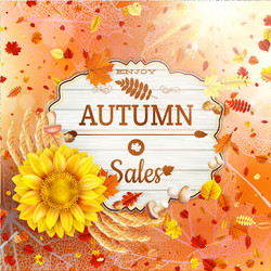 Similar image 11850666