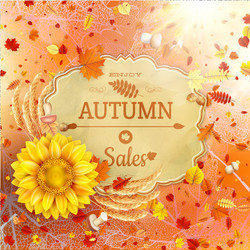 Similar image 11850667