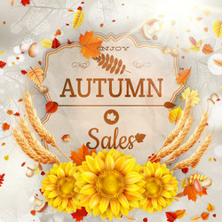 Similar image 11850250