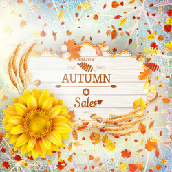 Similar image 11850251