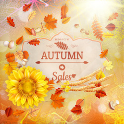 Similar image 11850254