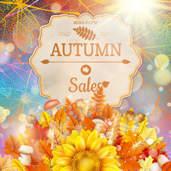 Similar image 11850670