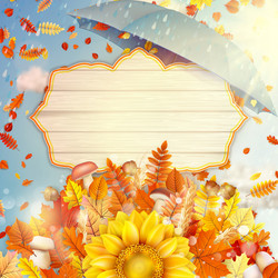 Similar image 11850423