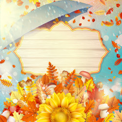 Similar image 11850428