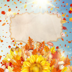 Similar image 11850429