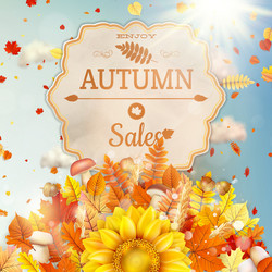 Similar image 11850445