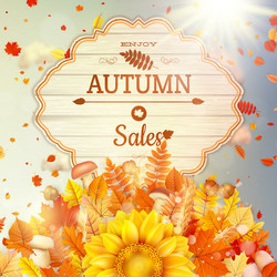 Similar image 11850448