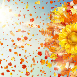 Similar image 11850455