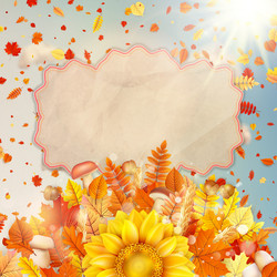 Similar image 11850458