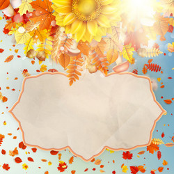 Similar image 11850459