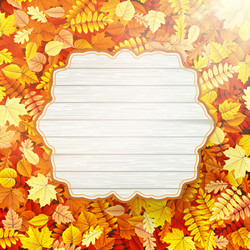 Similar image 11850546