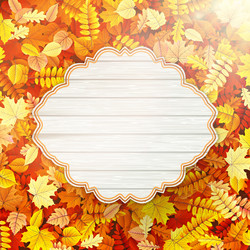 Similar image 11850564