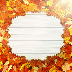 Similar image 11850566