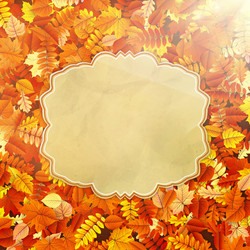 Similar image 11850567