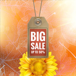 Similar image 11850573