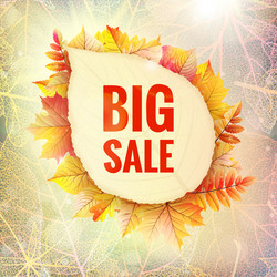 Similar image 11850446