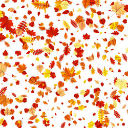 Similar image 11850449