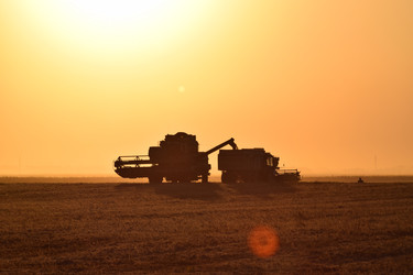 Similar image 11865875