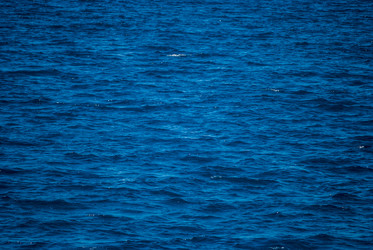 Similar image 11841125