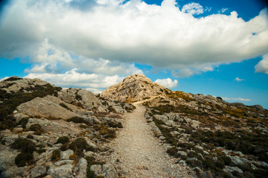 Similar image 11841179