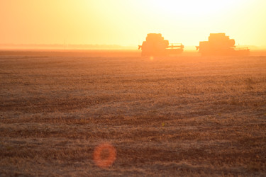 Similar image 11865877