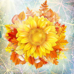 Similar image 11850577