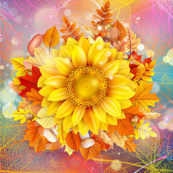 Similar image 11850585