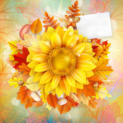 Similar image 11850586