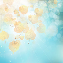 Similar image 11850591