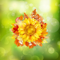 Similar image 11850605