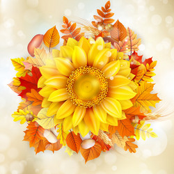 Similar image 11850606