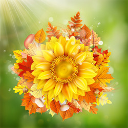 Similar image 11850607