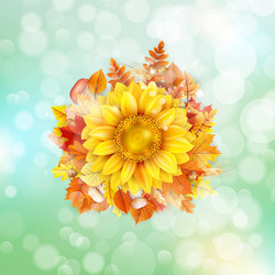 Similar image 11850608