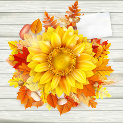 Similar image 11850626